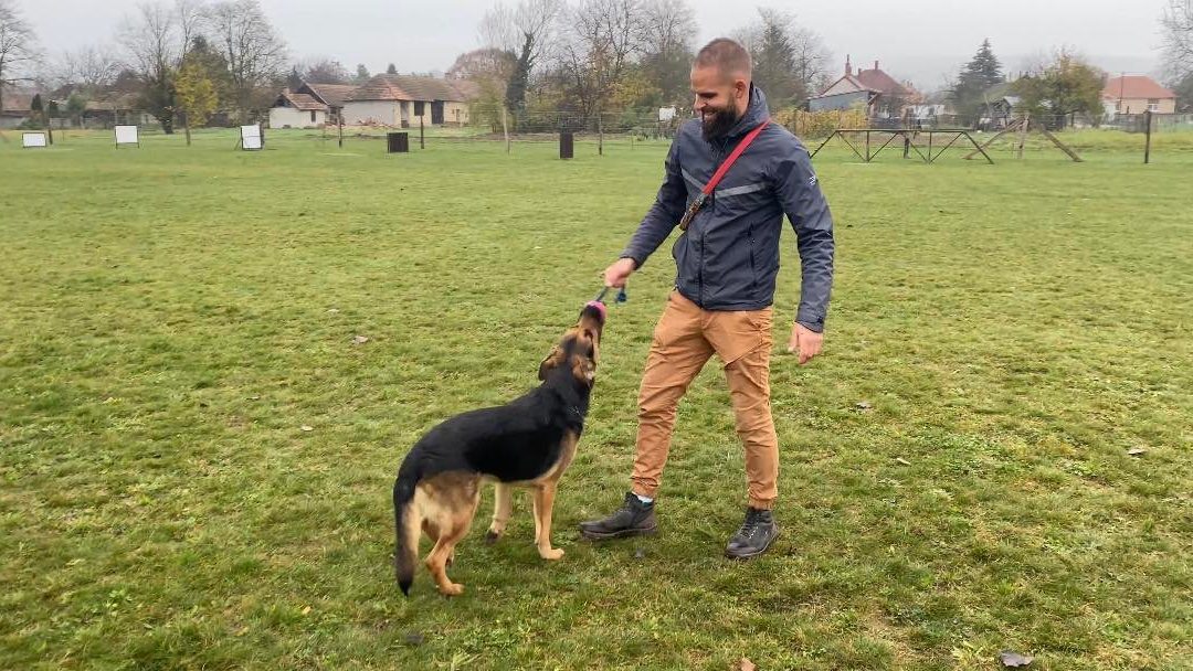 Agresszió problémák és ami mögötte van