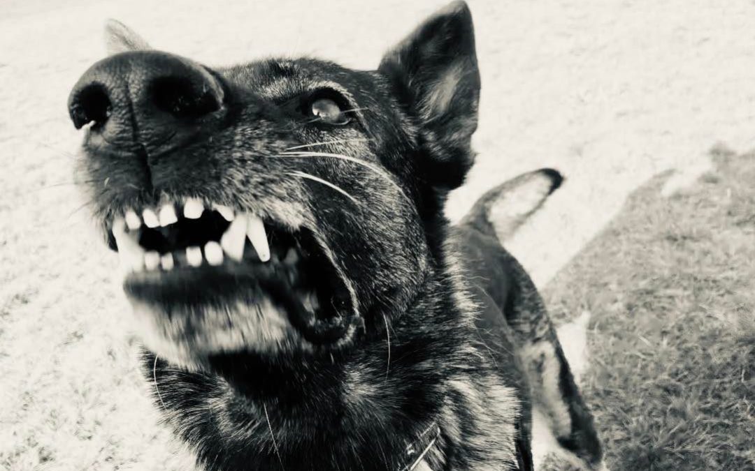 Az őrző-védő munkáról 